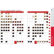 Карта тонов с кисточками CONCEPT Profi Touch 2016 ECO