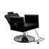 Парикмахерское кресло DiBiDi JB1011 Парикмахерское кресло DiBiDi JB1011