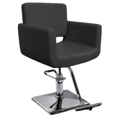 Парикмахерское кресло DiBiDi DY-648 Парикмахерское кресло DiBiDi DY-648
