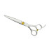 Парикмахерские ножницы прямые для стрижки Antelope RAY 675 625 - 6,25 дюймов (16 см) Парикмахерские ножницы прямые для стрижки Antelope RAY 675 625 - 6,25 дюймов (16 см)